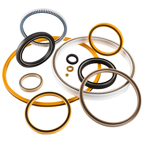 Spring-Energized Seals | Omniseal Solutions