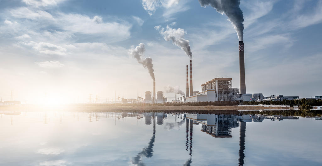 Energy plants Energy plants