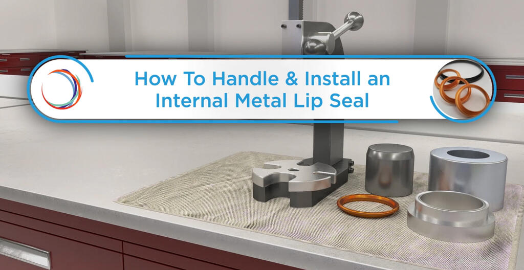 Installation Video Internal Metal Lip Seal