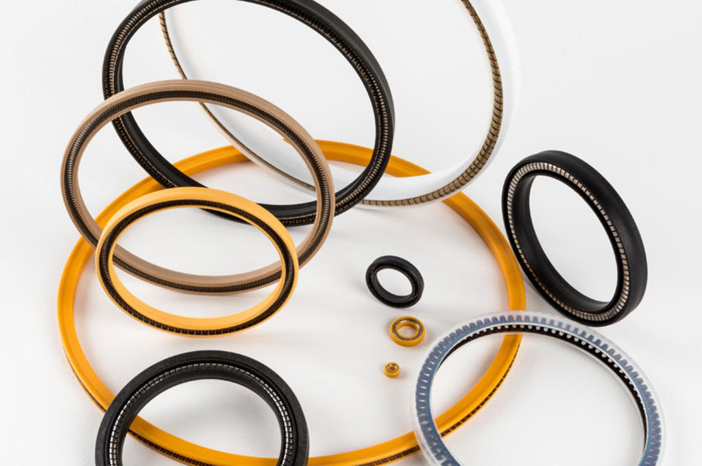 A collection of 10 spring-energized seals