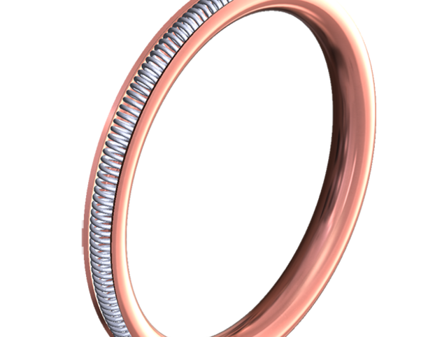 A metal spring-energized seal