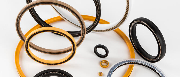 A collection of 10 spring-energized seals