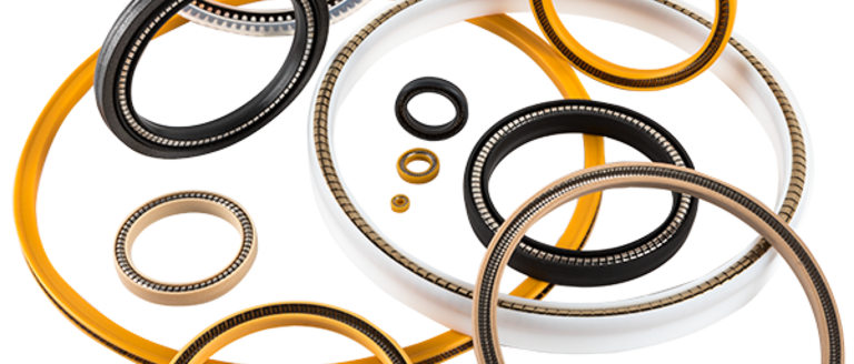Omniseal® Spring-Energized Seal Group