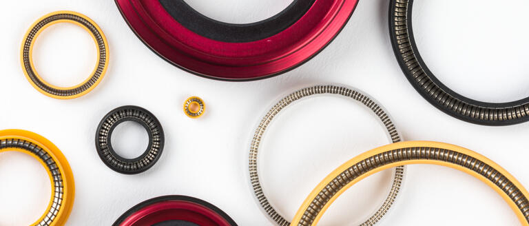 Omniseal Spring-Energized Lip Seal Group