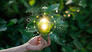 A hand holding leaves encasing a lightbulb, with CGI icons of various energy sources overlaid, symbolizing a push to renewable energy.